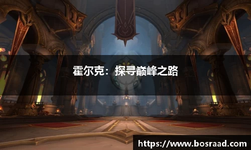 霍尔克：探寻巅峰之路