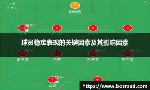 球员稳定表现的关键因素及其影响因素